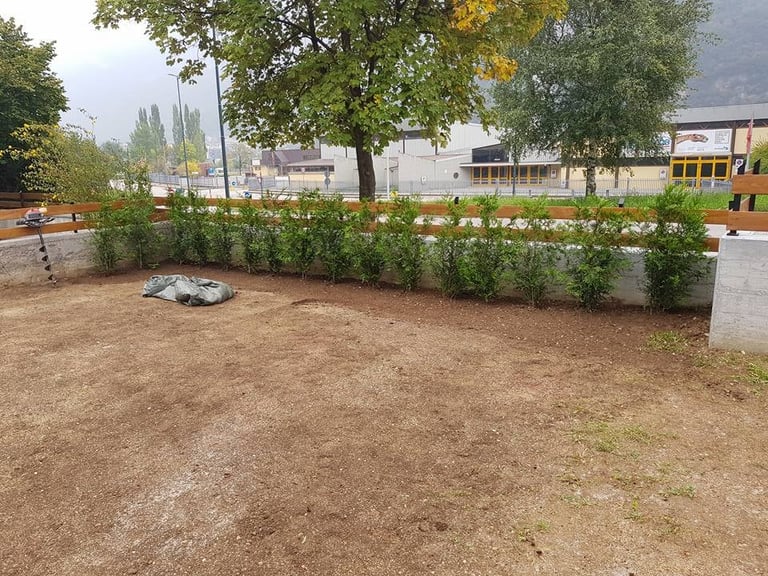 Area giochi esterna con siepi verdi e alberi